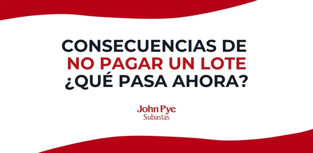 Qué pasa si no pagas un lote de una subasta online: revisión de factura y plazo de pago tras ganar un lote