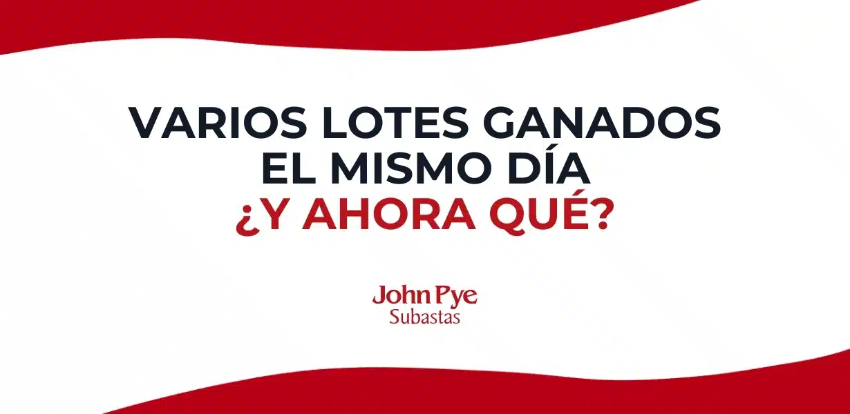 Qué pasa si ganas varios lotes en subasta online y cómo organizar pagos, facturas, envío y recogida sin confusiones