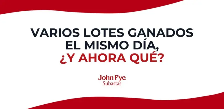 Qué pasa si ganas varios lotes en subasta online y cómo organizar pagos, facturas, envío y recogida sin confusiones