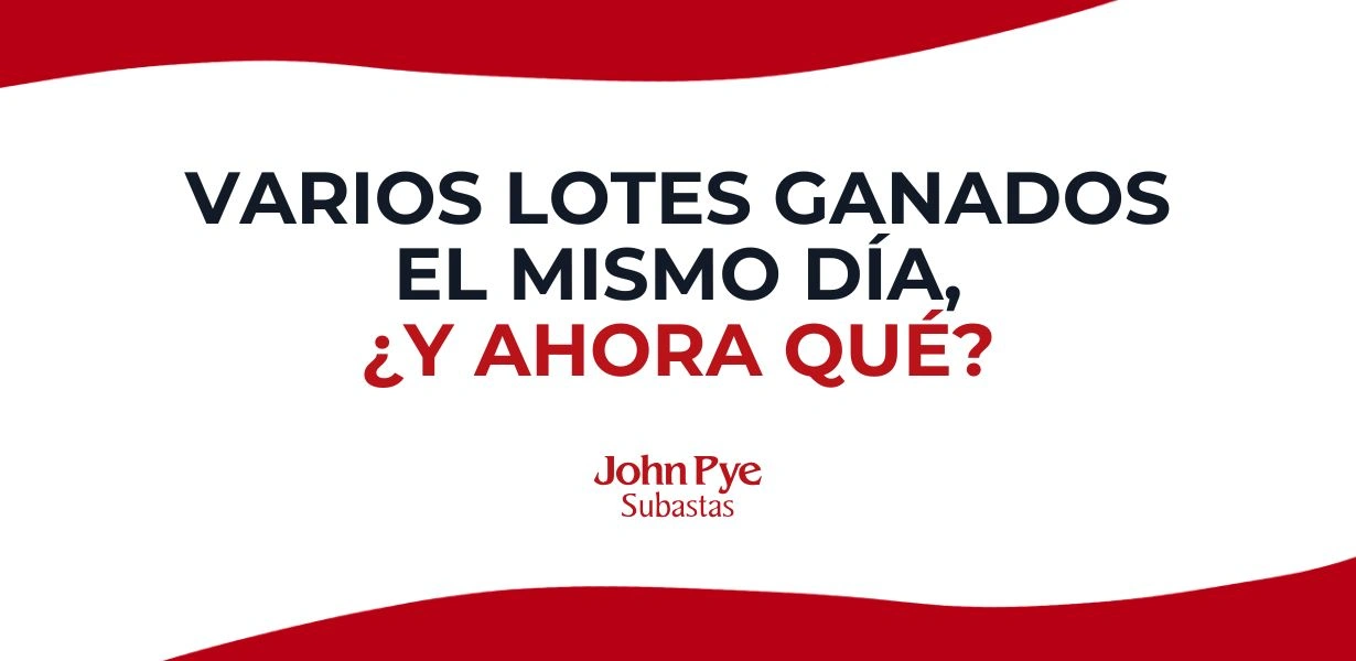 Qué pasa si ganas varios lotes en subasta online y cómo organizar pagos, facturas, envío y recogida sin confusiones