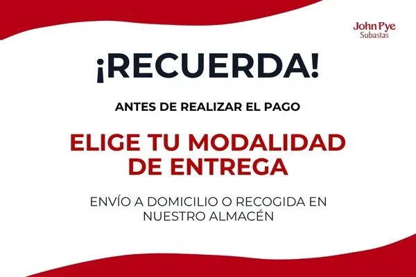 Información especial Subasta Z_602